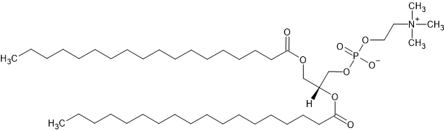 The chemical structure for the DSPC molecule.