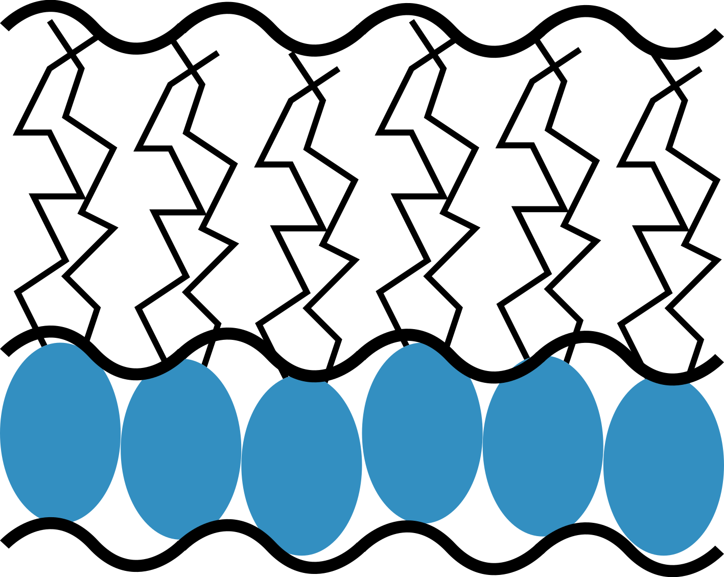A slab model description for a phospholipid monolayer.